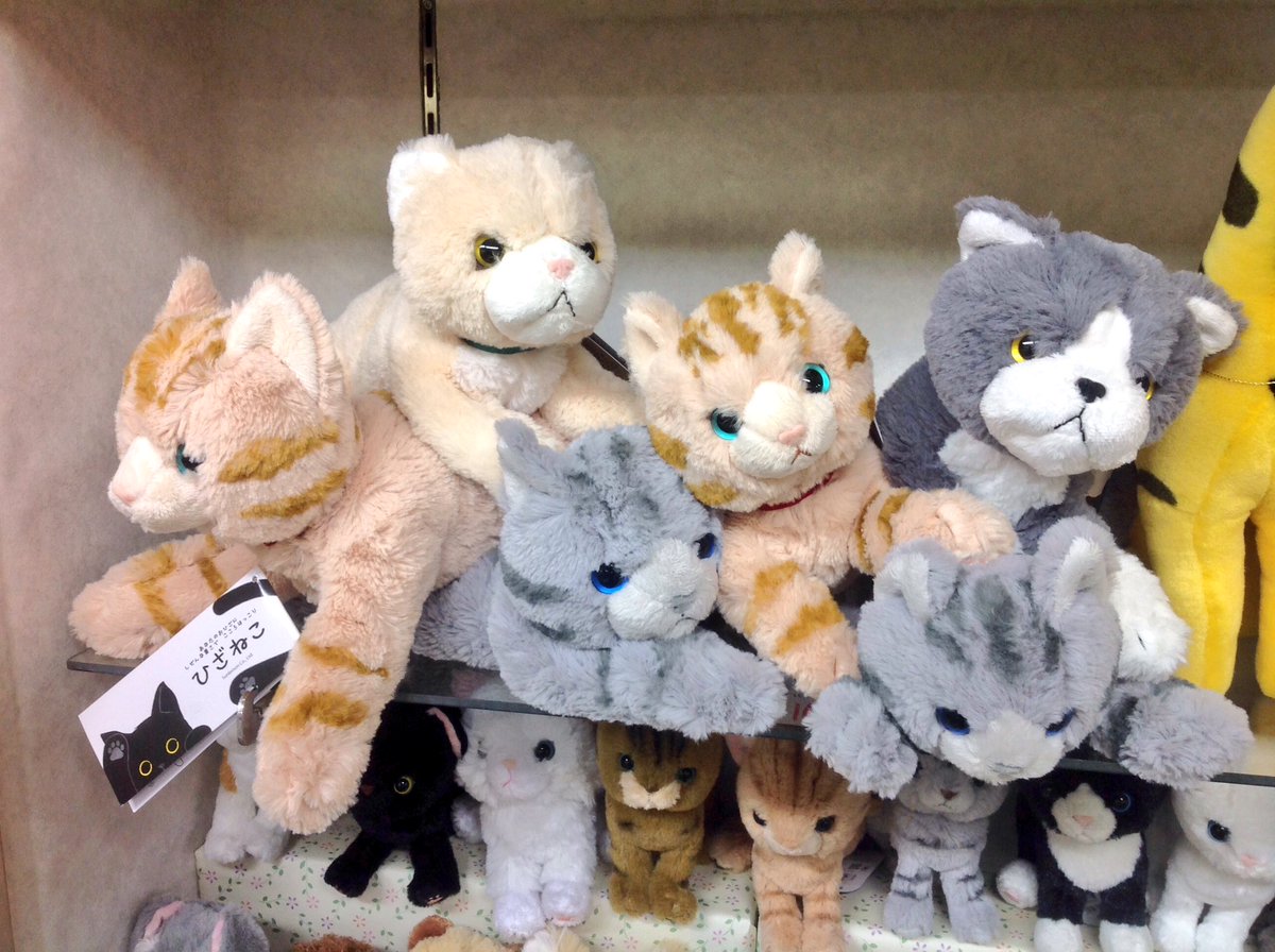 新発売】大人気☆程よい重さのあるぬいぐるみ『ひざねこ』のSサイズに