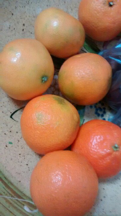 _socialshop's tweet photo. 14:45 #ClementinaSalud #Consum #Eureka #Divideyvencerás #Satori #batallasdelavoz #peleasdegallos #redbull #arkano #wk_league_of_legends https://t.co/TQAMuVD9Fj