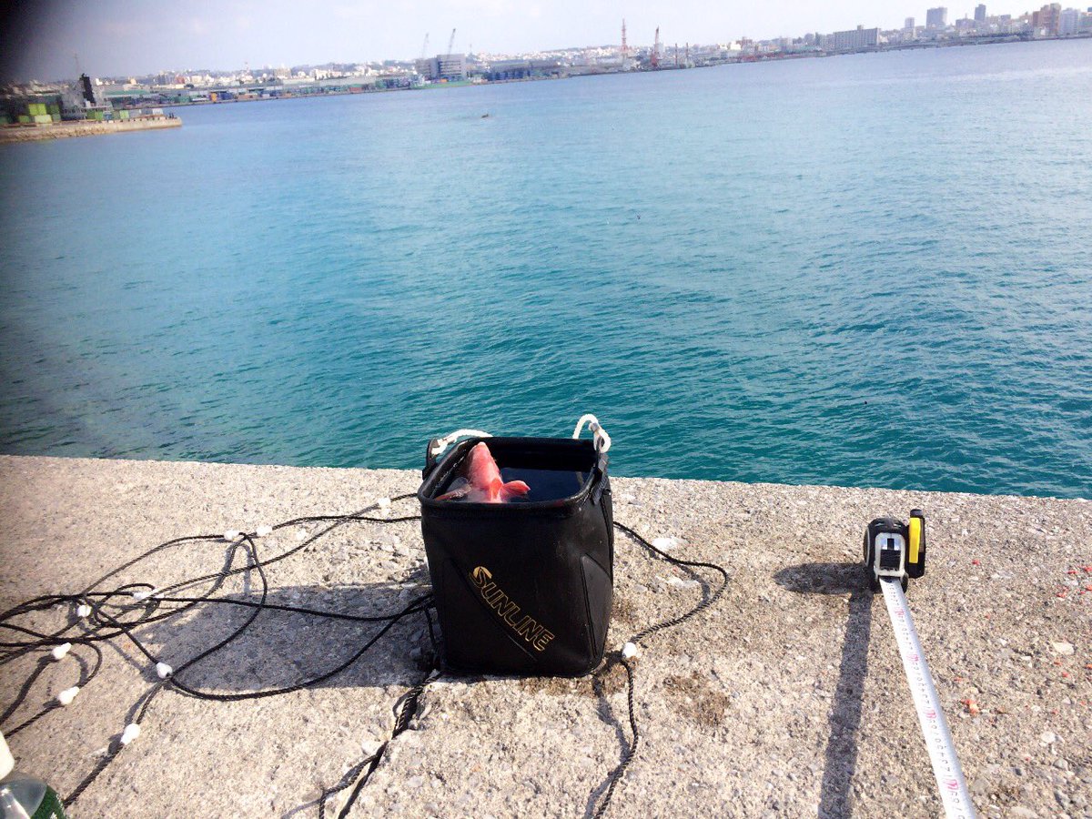 New016New01's tweet photo. 釣りしたくなってきた🎣

昨日イラブチャー釣ったから調子に乗ってるよ俺。笑

やしが、2000円の釣り竿でもいいのわ釣れるやん♪😂

誰か釣り行こうよ~

はい！行きたい人ー？

本当わ行きたいでしょ!!
じゃ、行くしかないやん！！ https://t.co/9WsQ9PeyUf