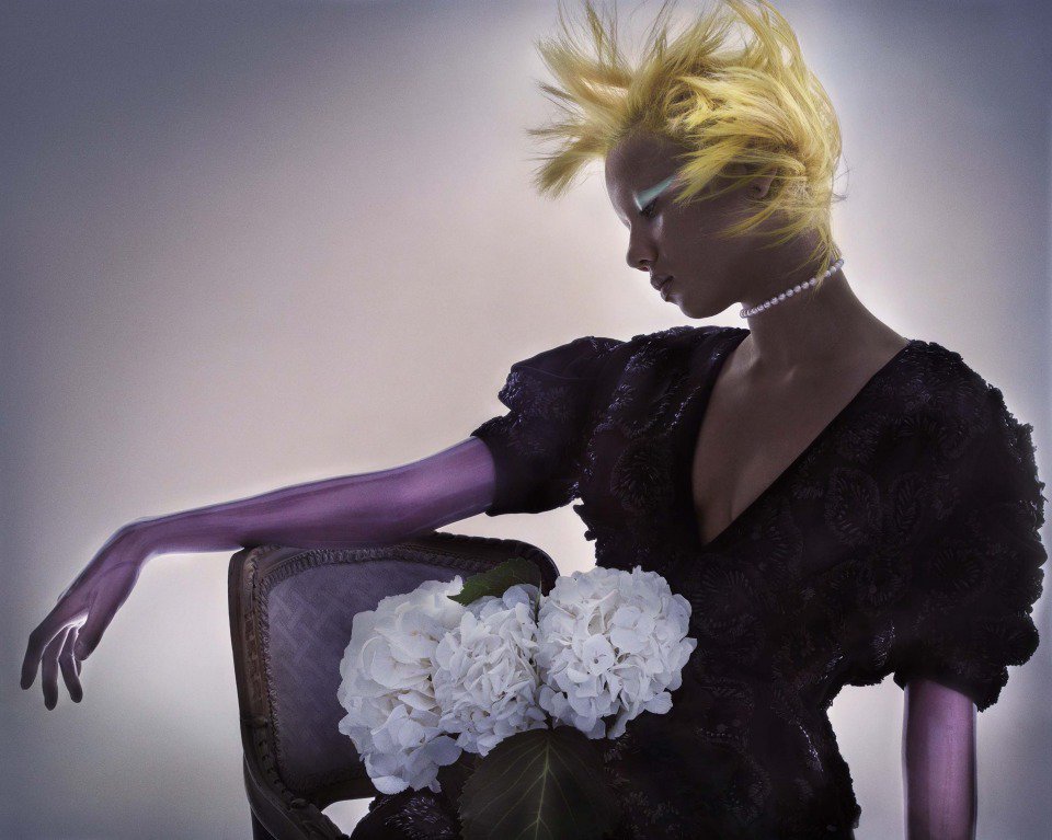 SHOWstudio tweet media