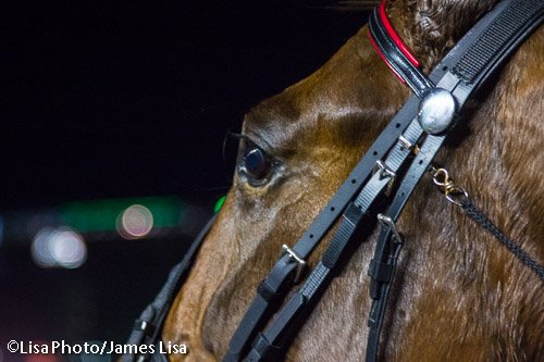 Lisa Photo (@lisaphotom1) on Twitter photo Lady Shadow wins the @TVG mares pace <a href="/TheMeadowlands/">Meadowlands Racing</a> for trainer Ronald Adams <a href="/Gingras3/">Yannick Gingras</a> @HarnessRacingFZ Lady Shadow wins the @TVG mares pace <a href="/TheMeadowlands/">Meadowlands Racing</a> for trainer Ronald Adams <a href="/Gingras3/">Yannick Gingras</a> @HarnessRacingFZ