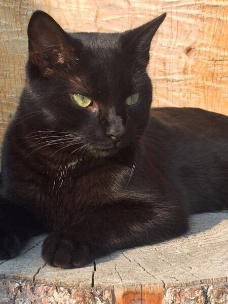 Keiffer Mclean tweet media