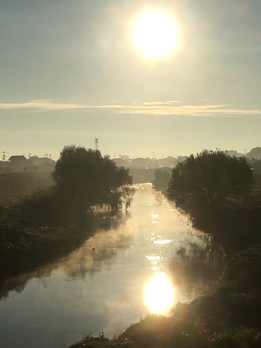 Amanda Kuryla tweet media