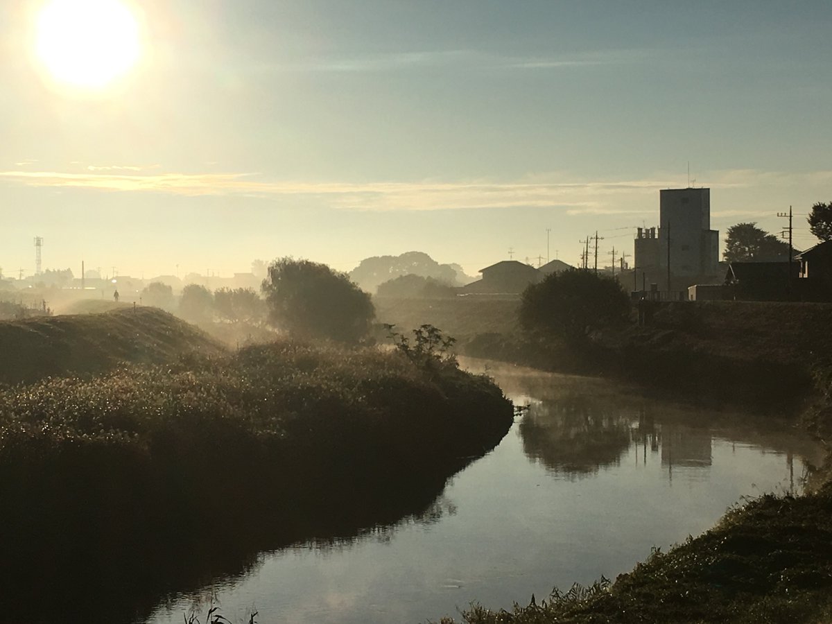 Amanda Kuryla tweet media