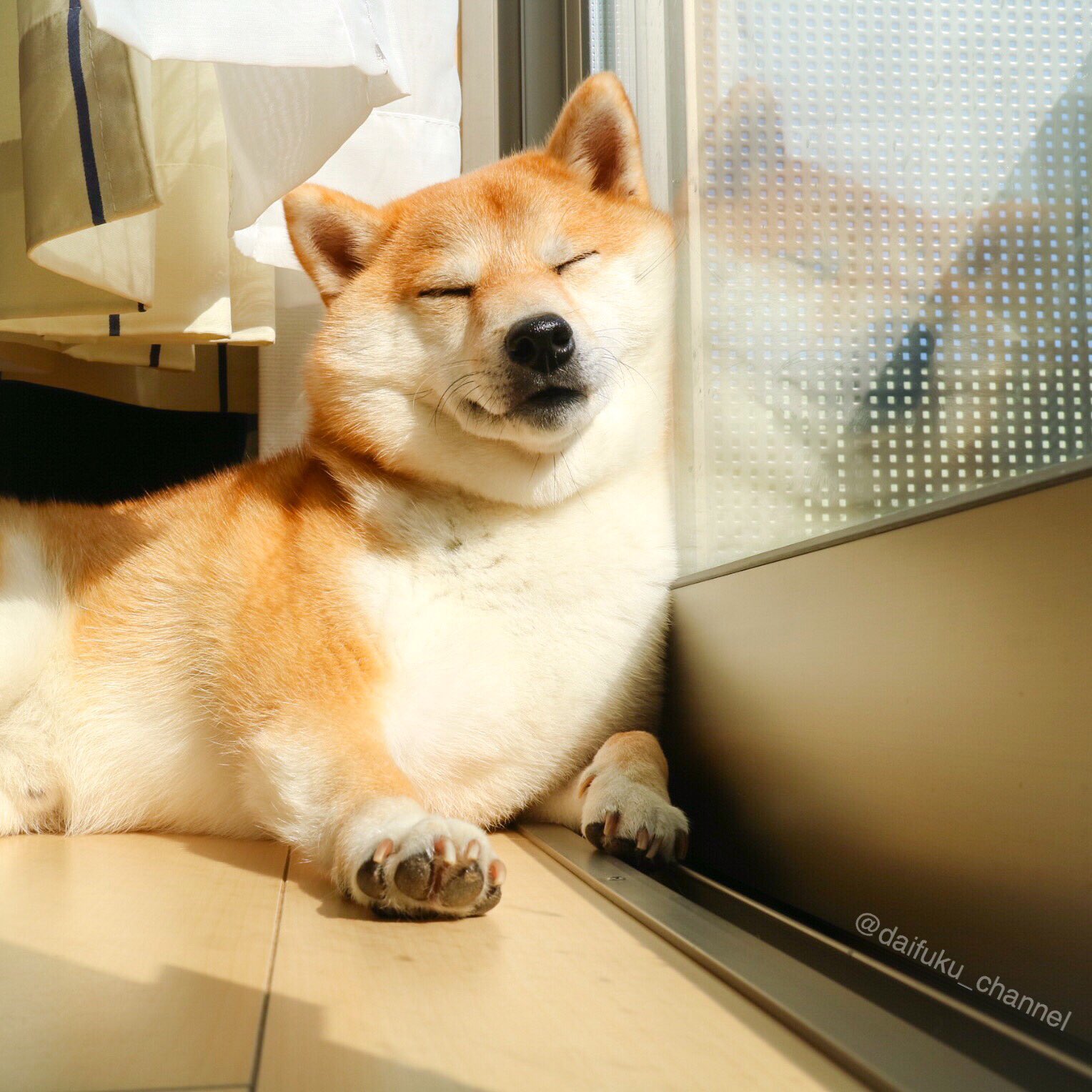 Fluffy、2点おまとめ 渡狸希恒🍀c106 日曜西1ひ-13b on X: 