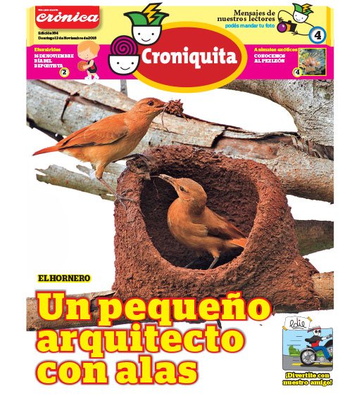 Cronica_ok's tweet photo. Y, como cada domingo, #DiarioRecargado con los suples de siempre #Croniquita, #Juegos, #Salud y #Paranormal https://t.co/AaXPutvM8E