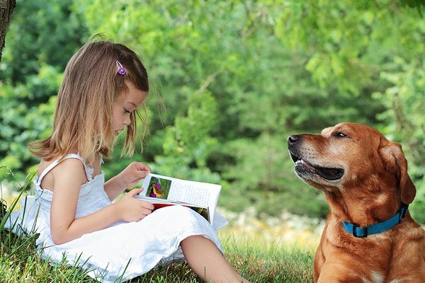 книга лучшая книга для чтения от 3 до 6 лет книга лучшая книга для чтения от 3 до 6 лет