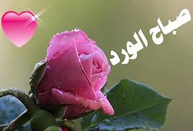 dj_osj's tweet photo. @Sami833516511 https://t.co/R4vm1watsm