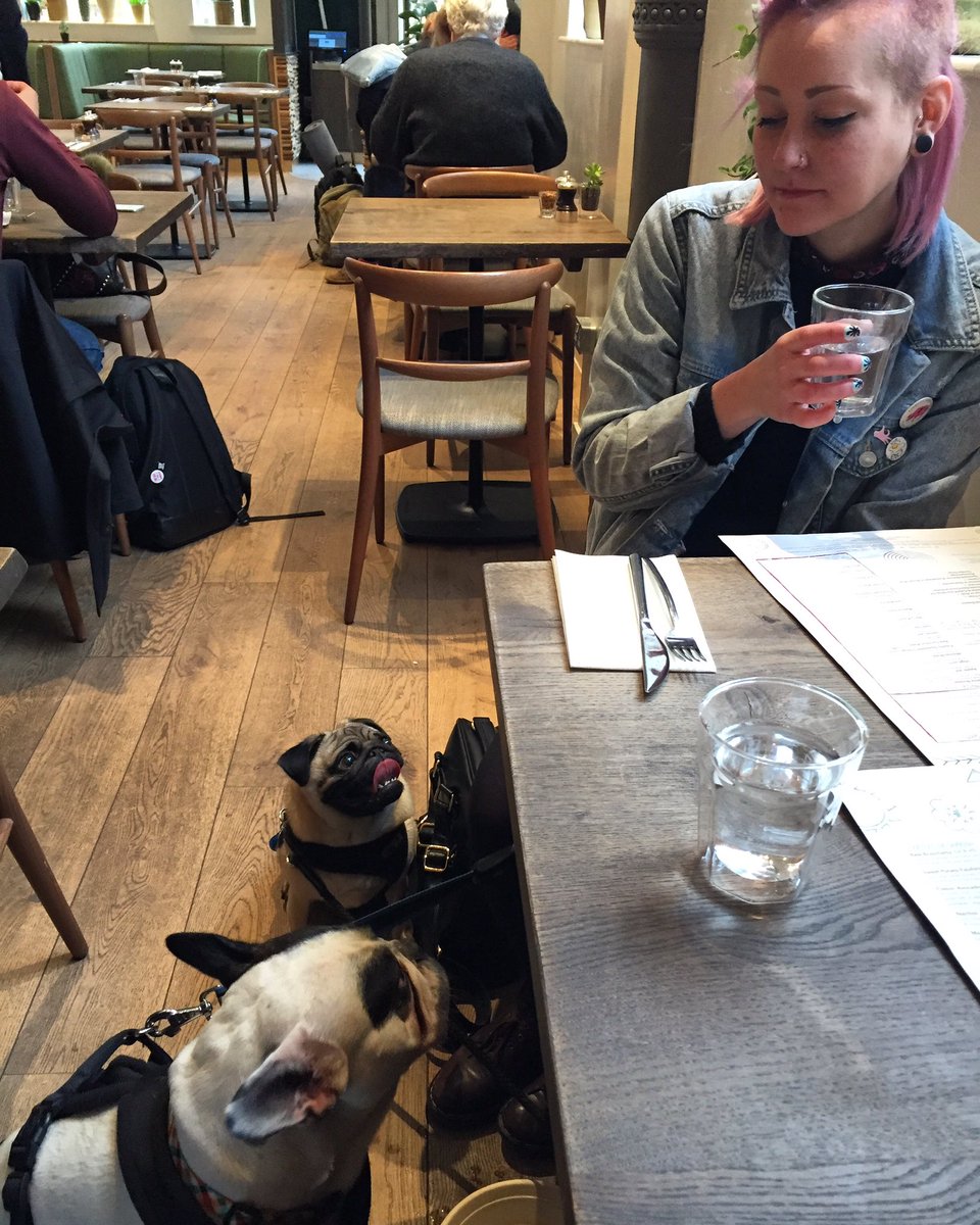 New post from <a href="/farmacylondon/">farmacyuk</a> lunch date with the doggies 🐶hefskitchen.me/?m=1 #Vegan