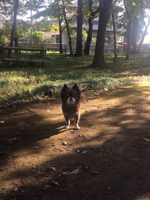 くっそw Twitterで話題の 力が欲しいか と訴えてくるモノたち Matomehub まとめハブ