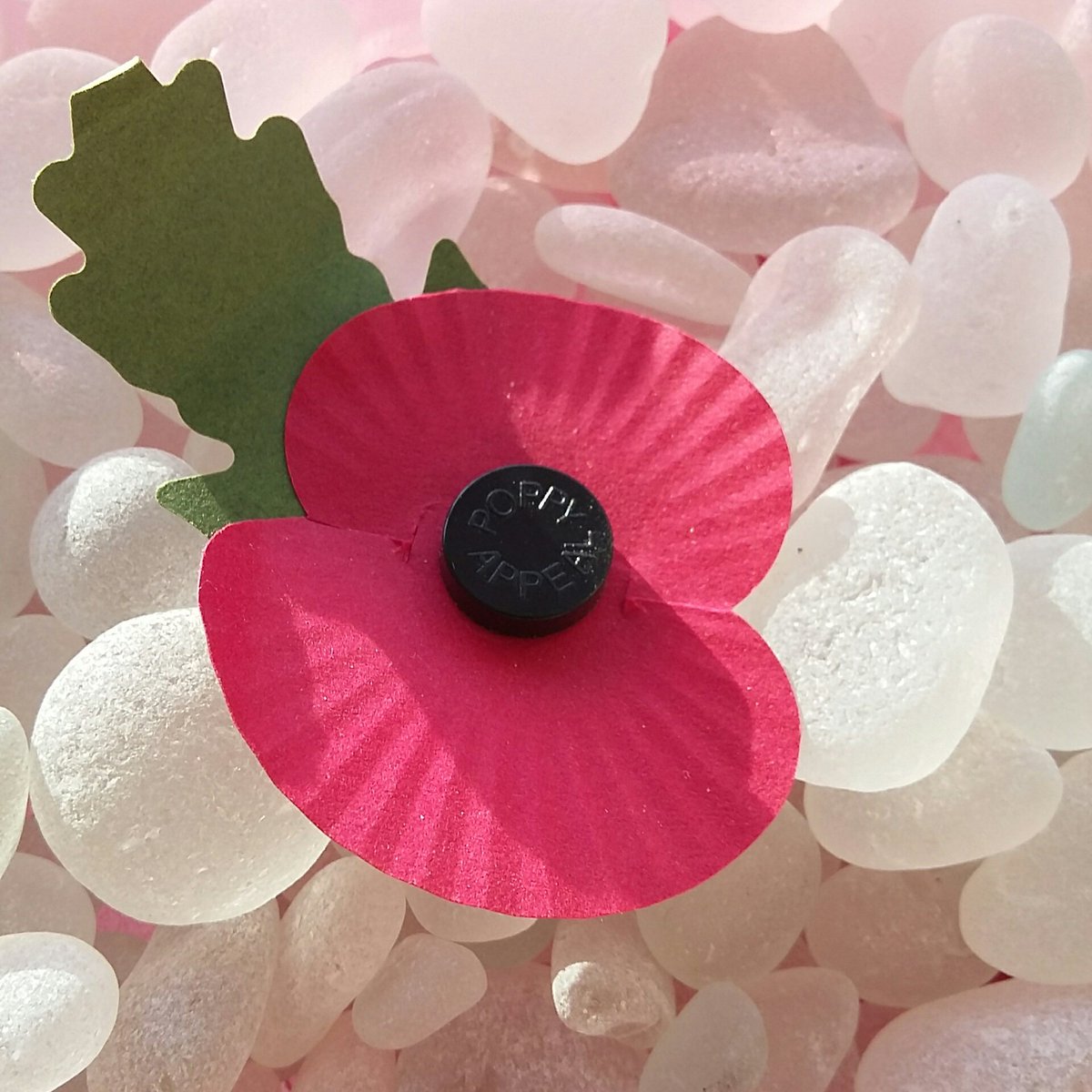 StellarHound's tweet photo. Lest we forget #RemembranceSunday #poppyappeal https://t.co/5PEUlOkw3i