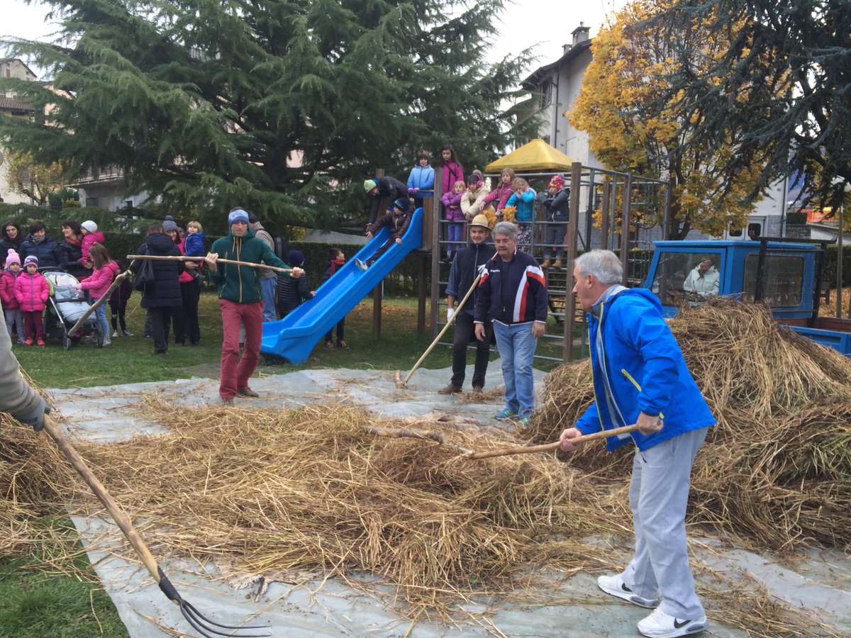 IoliAndrea's tweet photo. Oggi a #triangia #sondrio i ragazzi imparano a battere il #grano #saraceno come una volta, e poi #pizzocheri a tutti https://t.co/433YPhw4aA