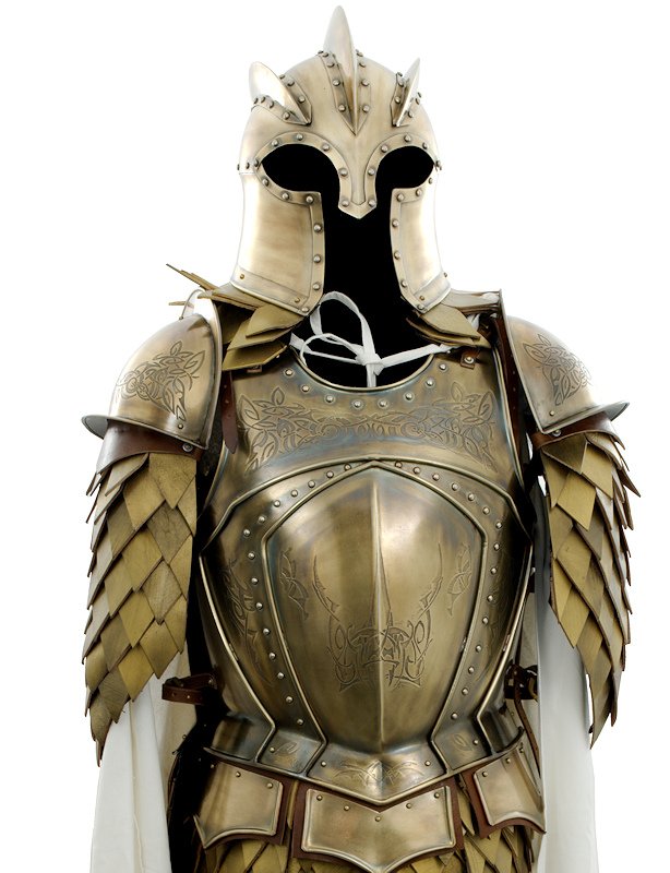 Histophile's tweet photo. ► https://t.co/9dpoGVMn9F
#Armure impériale
Reproduction grandeur nature d'armure #fantastique
#cosplay #déguisement #décoration https://t.co/j3cbozpbkL