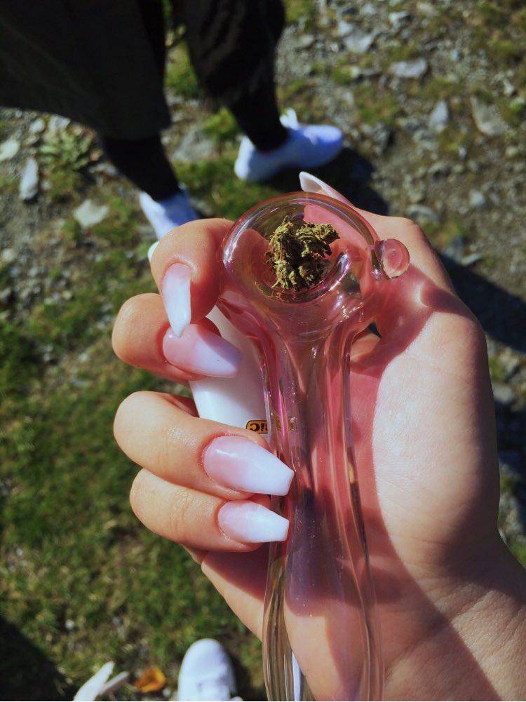 allthings_weed's tweet photo. janessar on VSCO https://t.co/jG6C8PEhkP