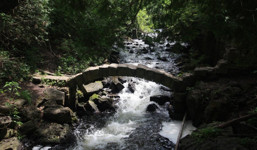 SubiniAA's tweet photo. 6 Scenic Hikes in Halton Hills #SubiniAA https://t.co/8F8AbkBdg1 https://t.co/qCuxI9lmS3