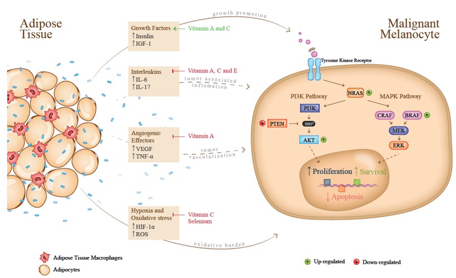 book научно исследовательская работа студентов отделения психологии на выпускном курсе методические рекомендации по выполнению выпускной дипломной
