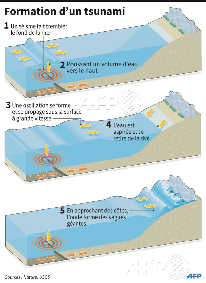 Tsunami fukushima vague