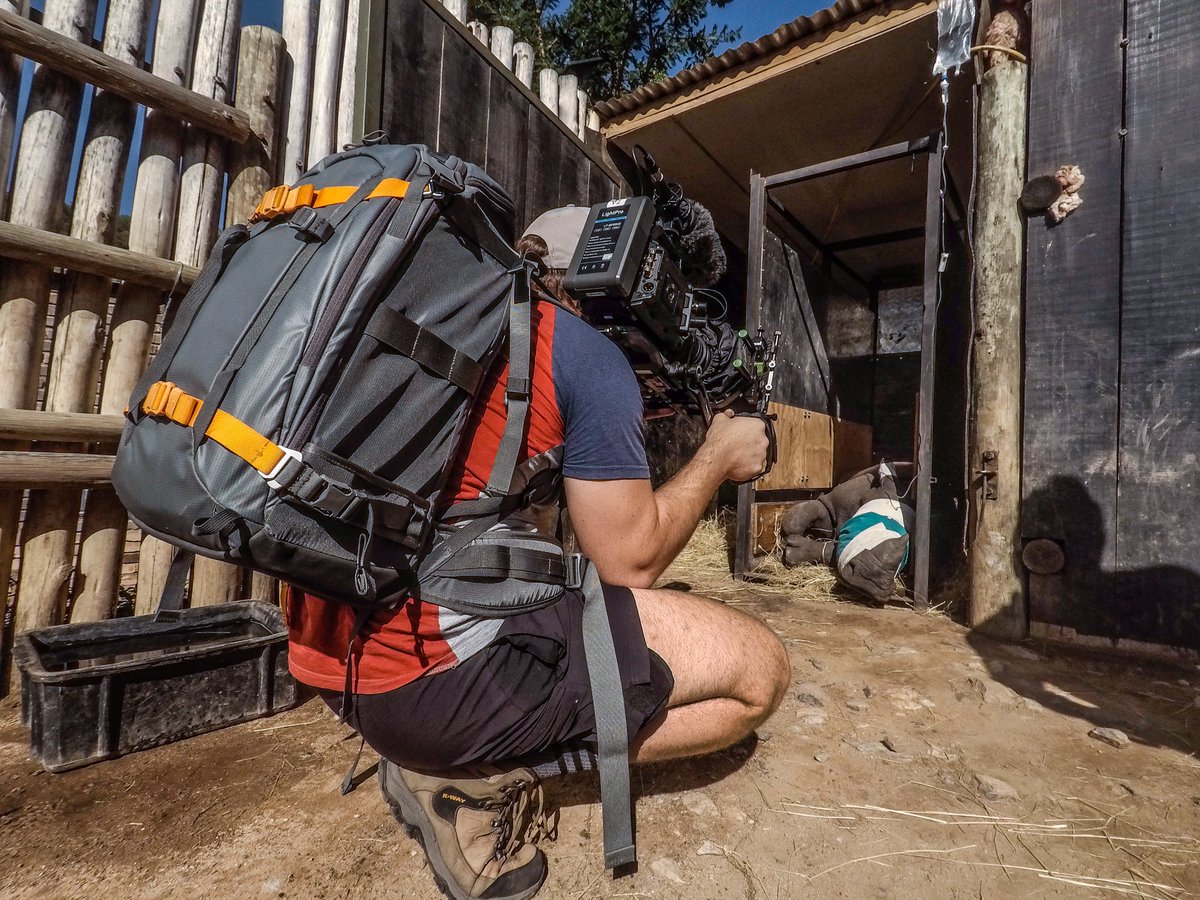 The little rhino in this photo is the newest arrival at <a href="/careforwild/">Care For Wild Rhino Sanctuary</a> - the world's largest orphan rhino sanctuary! #disunitythefilm