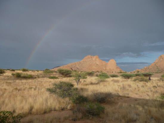 phiadev05's tweet photo. That's my wild place. Where i was born and where im growing up. Please respect!
#respect #ISF #Namibia #southafrica #nature #wild #myplace https://t.co/yk0jeVizXj
