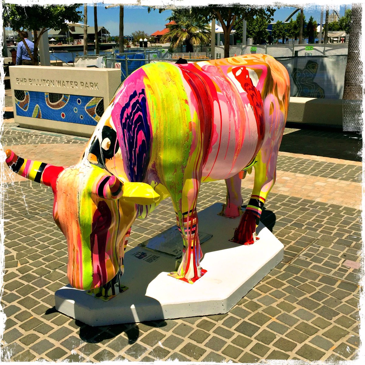fortesomniare's tweet photo. Day 318 โ Ikicow #cowparadeperth #ElleCampbell #BHPBillitonWaterPark #365photochallenge https://t.co/TKpJCttLyh
