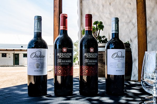 WestCoastWaySA's tweet photo. Relax and have a taste of @Ormonde_Wines in Darling. 
#Wines #WestCoast 
https://t.co/uTr5Kv0fbU https://t.co/3TVUKtpj52