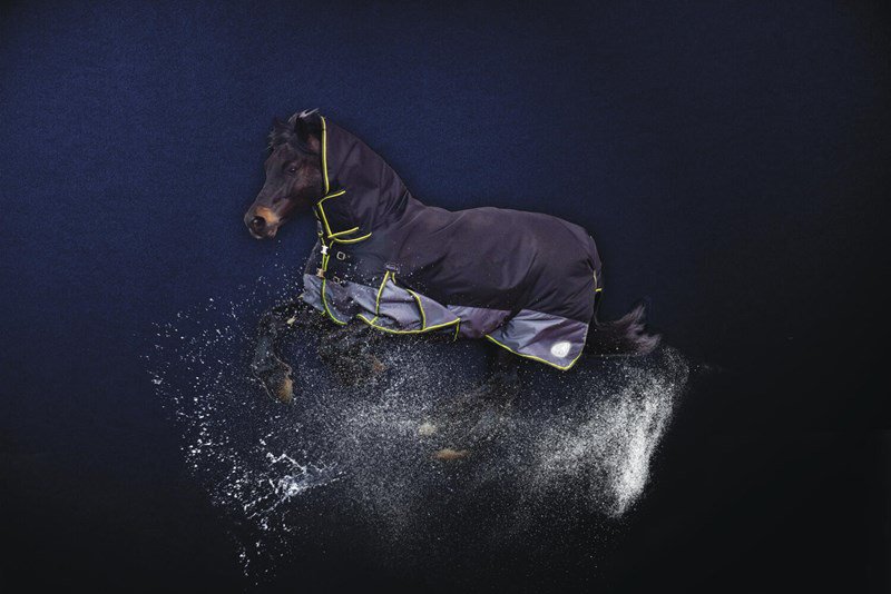 The Masta Climatemasta has all the boxes ticked if you're looking for the ultimate turnout rug bit.ly/2ds6vMH