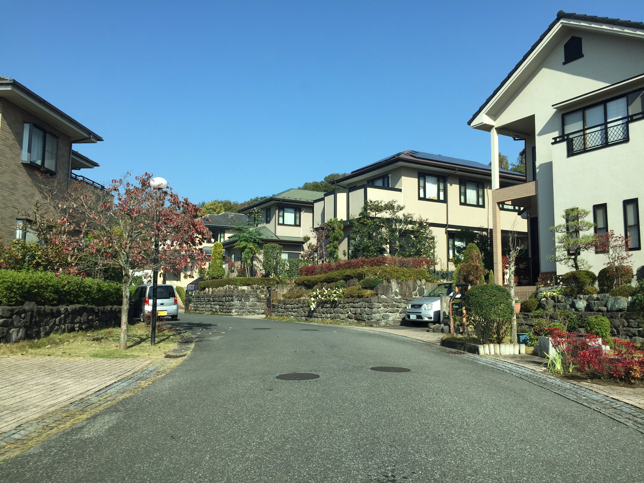 タウン 鳩山 ニュー