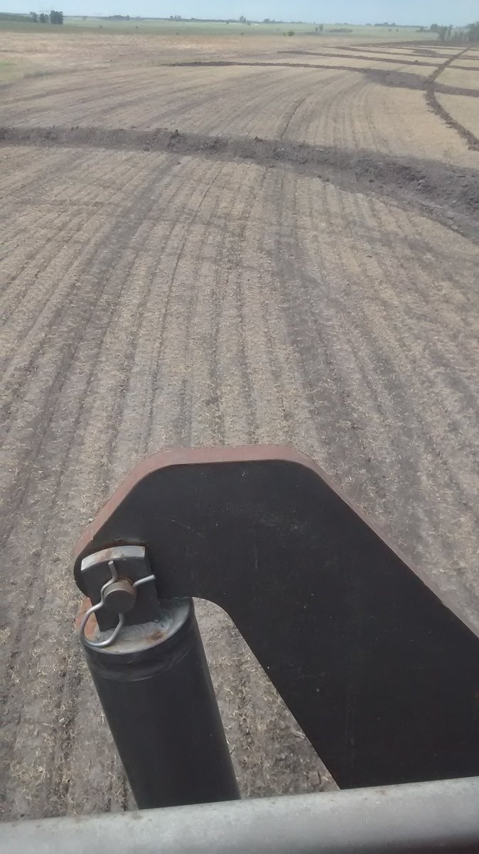 Por ser domingo hay que hacer patria