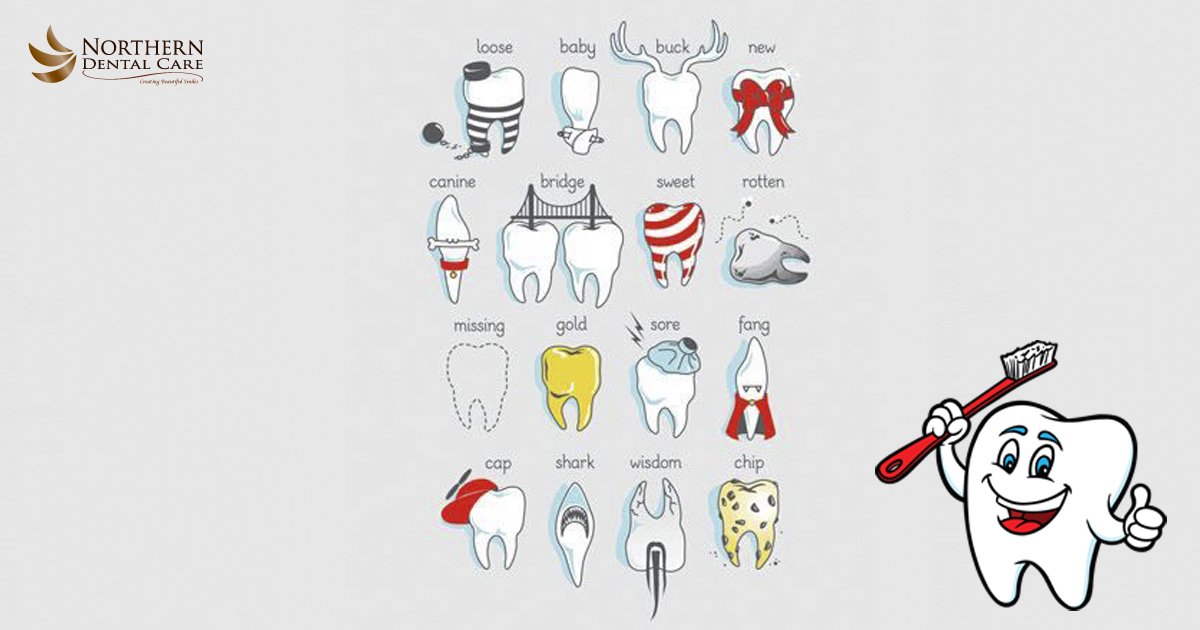 NDCSSM's tweet image. Types of teeth )) #DentalFun #TeethTypes #teeth #tooth #dentist #oralhealth #oralcare #dentalcare
Schedule a visit today: call 705-575-7572