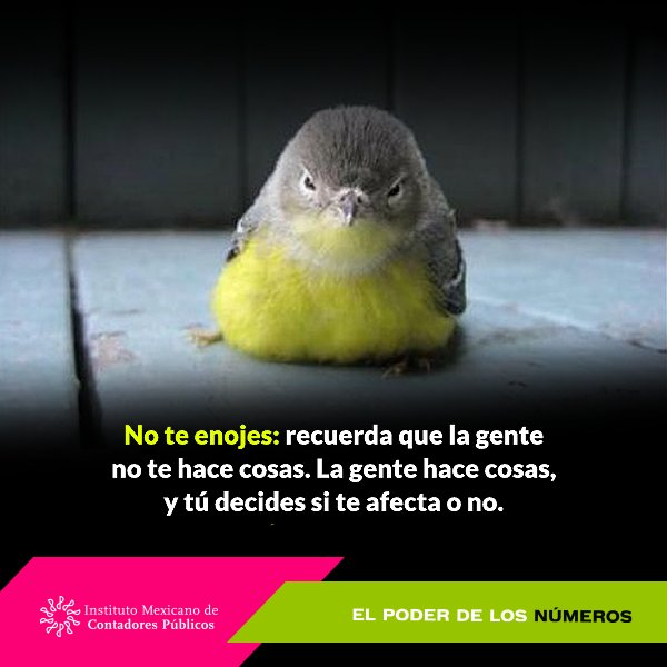 No te enojes: recuerda que la gente no te hace cosas. La gente hace cosas, y tú decides si te afecta o no. #FelizDomingo