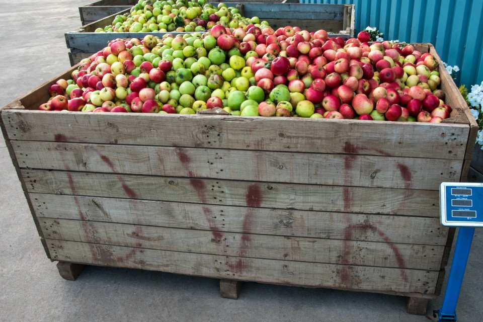 TheReservoirAleHouse tweet media