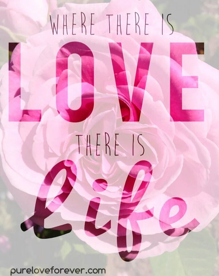 Where there is #LOVE there is #LIFE! #JoyTrain   RT @marigelpellin