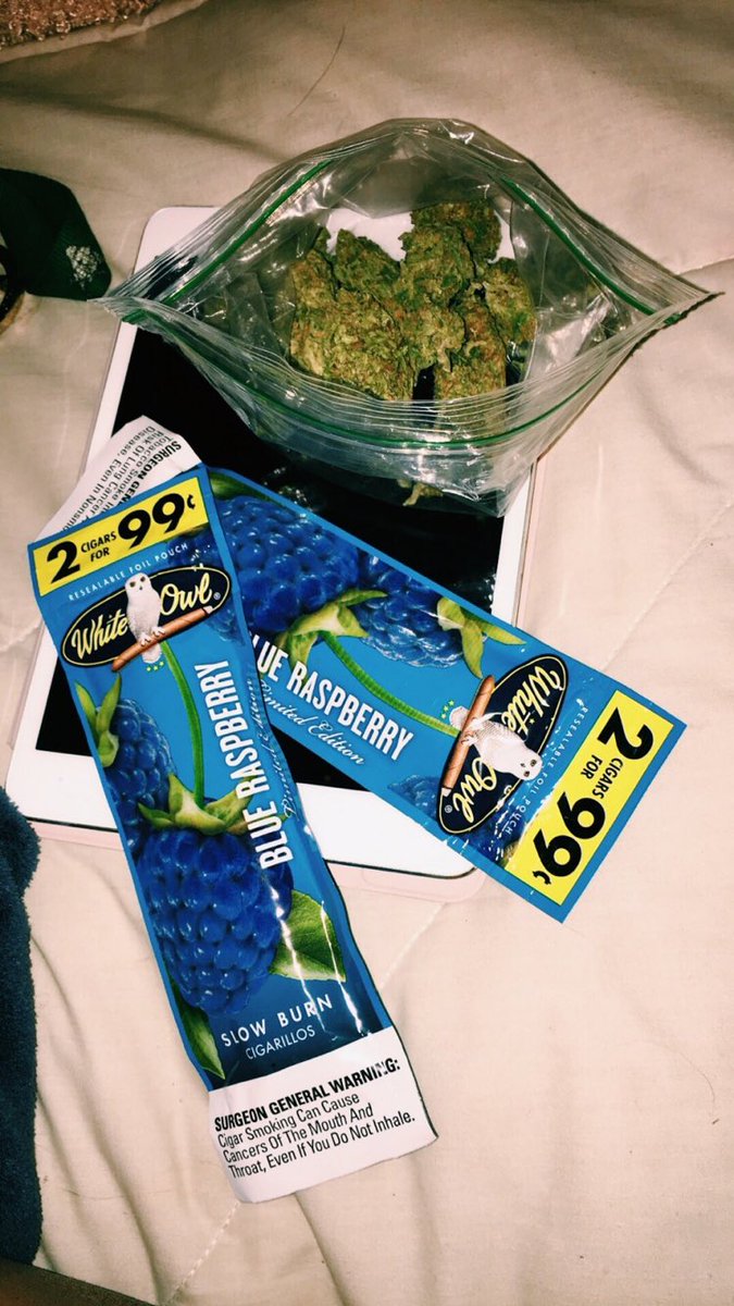 allthings_weed's tweet photo. Prettythoughtss on VSCO https://t.co/6yk2WHeEGQ