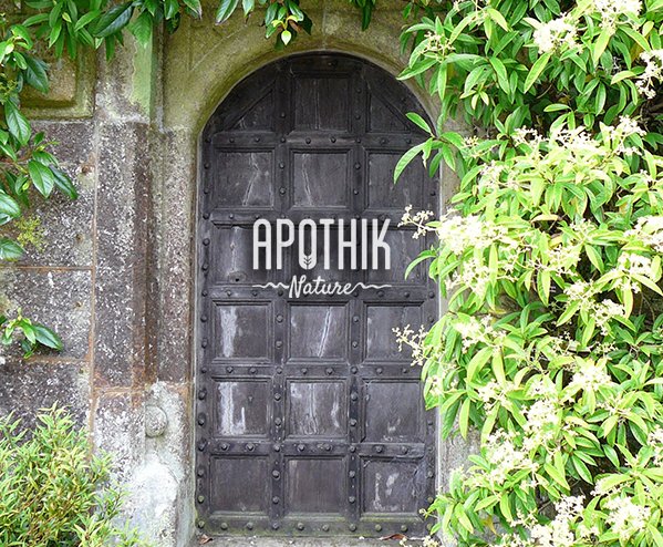 ApothikNature's tweet photo. In just 24 hrs, discover exactly what Geo-Elemental means & what it can do for you! #ApothikNature #Skincare https://t.co/uB38qgS0ZO