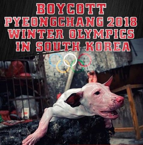 moodysally1's tweet photo. .@RepMattSalmon @RepSteveChabot Pls Support HRes 752. Where is the humanity? #stopdogcatmeattrade now https://t.co/NjPvwDwACi