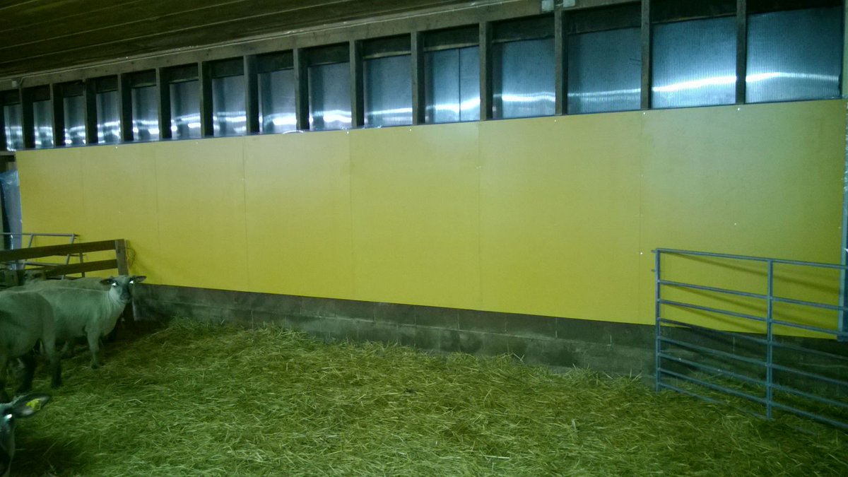 Woolenberg's tweet photo. new plywoods installed #happy #ewe #ram #sheep #skin #woolyarn #woolenberg https://t.co/d6CUg82KY4