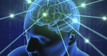 'What Does It Take to #Make a #Memory? #Study Says #NewProteins'
letsfaceit.care
For the #LatestHealthCareNews