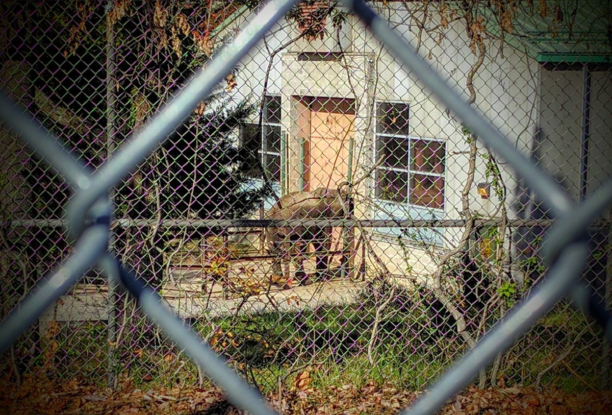 BARSfun's tweet image. You never know what you will see on a BARS bike ride.