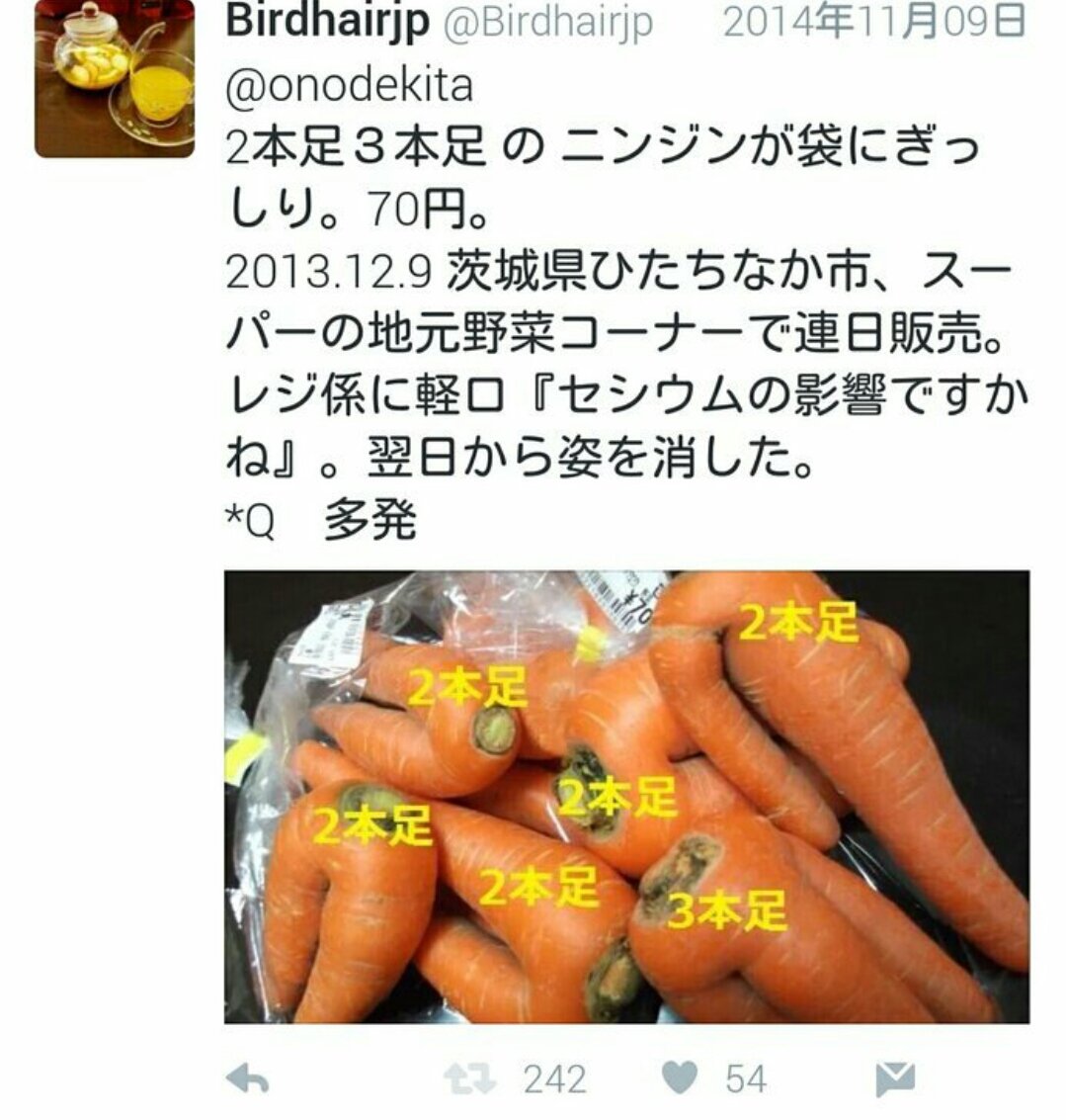 こういうのさ、家庭菜園でもしたことがあればわかるだろうけど奇形でもなんでもなく、土壌の石で股が出来るわけよ。それを奇形だなんて言ってる人達がいるわけで。無知も良いところだ。