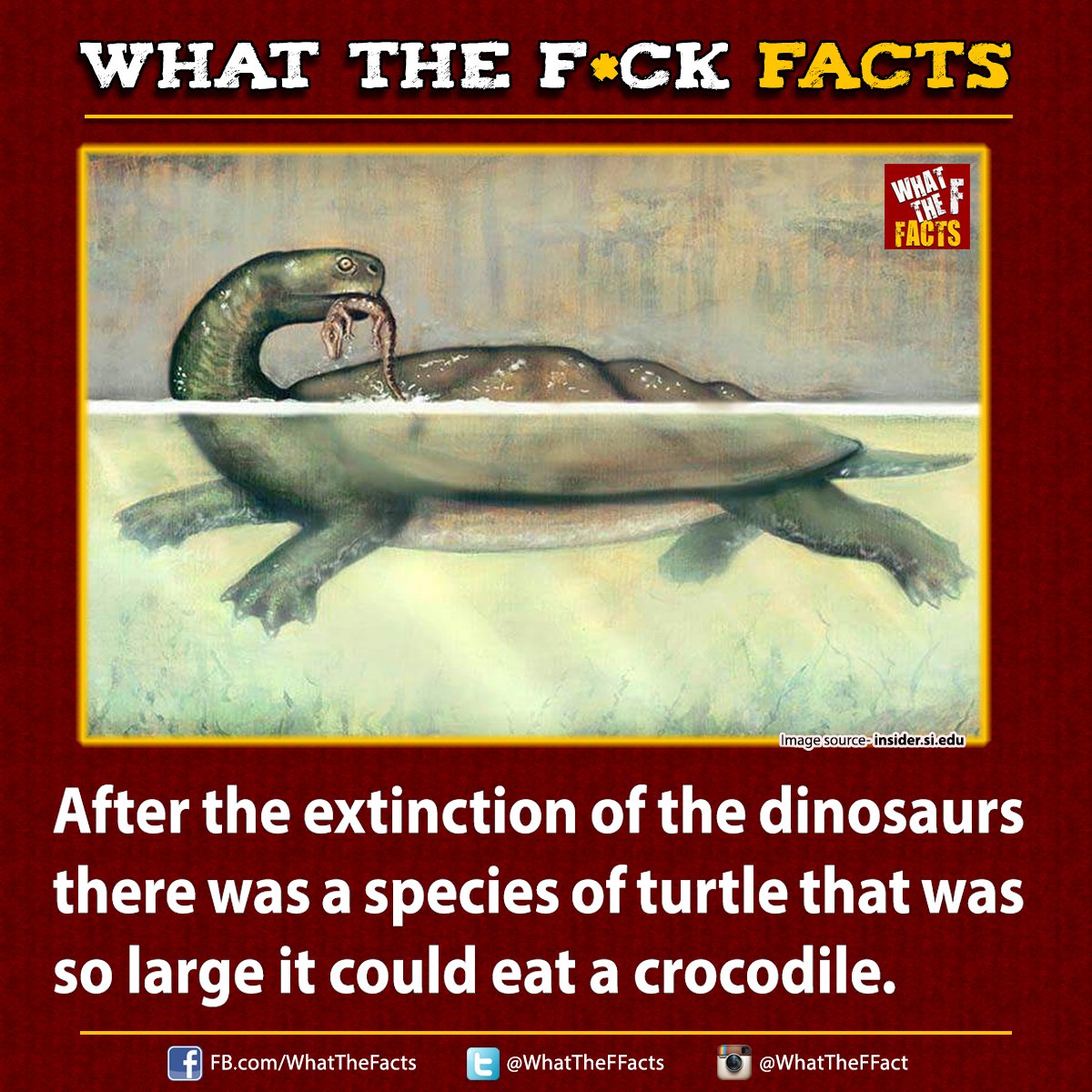 WhatTheFFacts's tweet photo. https://t.co/QtCElxcVL6