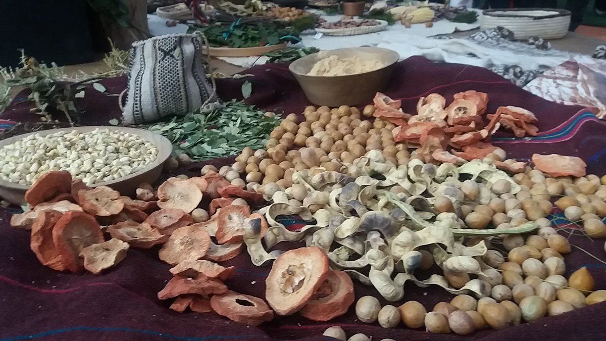 Sernatur promueve turismo indígena con representantes de pueblos Aymara, Mapuche, Yagan, RapaNui y Lickan Antay en #FeriaVyva2016