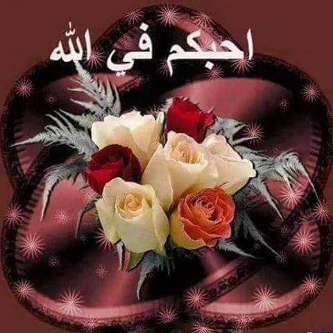 magdy8778's tweet photo. @aumanhz11 https://t.co/bVBxNccpPs
