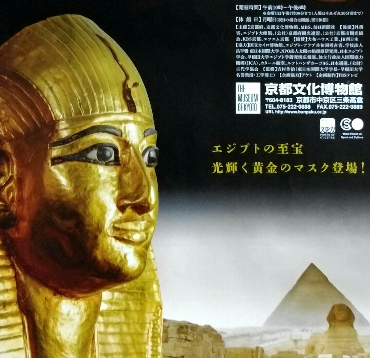 Hikari N Auf Twitter 京都文化博物館 の 黄金のファラオと大ピラミッド展 現地で クフ王のピラミッドや ツタンカーメンの黄金マスクを 観た感動が蘇る 大英博物館 古代エジプト スフィンクス ラバーダック が 売ってたので買っちゃった