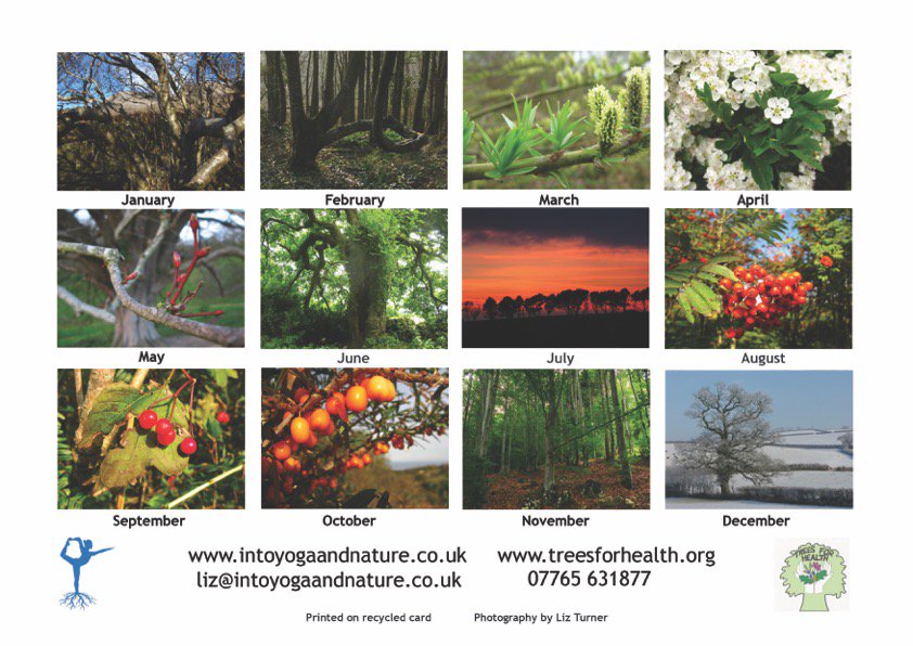 TreesforHealth's tweet photo. @clairewildesign @jonniewalks @sihiline Tree Calendar with Wild Food/ other tree uses. £10 Msg @TreesforHealth or https://t.co/WKAuDFtI6X https://t.co/VLC3mjriVd