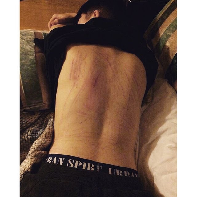 "Levi, what did you do?!"