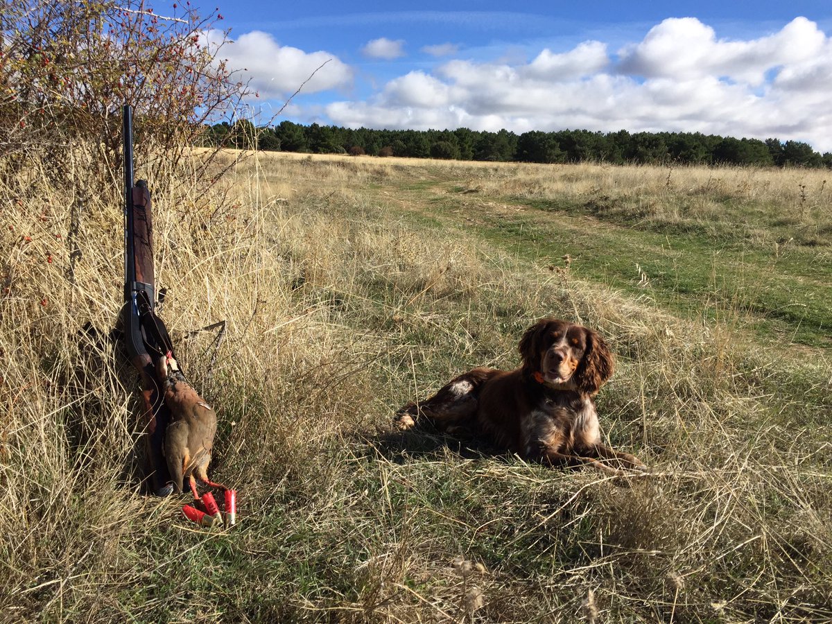 Quizá una percha un tanto exigua, pero tras más de 40 km en las piernas este fin de semana tras las patirrojas me conformo, sabe a gloria.