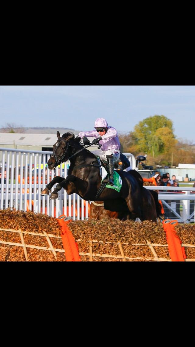 r_m_bloodstock's tweet photo. Good day for English p2p-ing to produce one of the best 2m handicap winners of the year @harryskelton89 @DSkeltonRacing #producingquality https://t.co/xbkimXgs6O