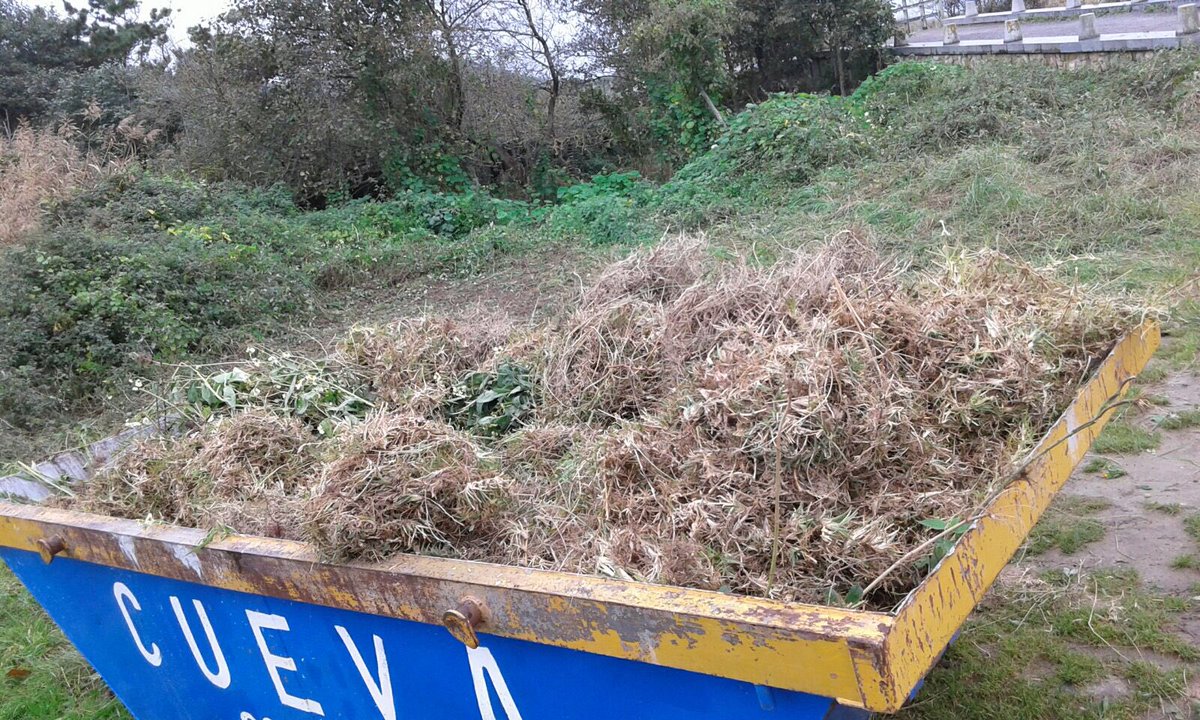 InfoArcoslife's tweet photo. @RedNatura2000 Dune habitats restored. #alieninvasive species eliminated thanks to #cityzen #volunteers #proud of you, guys!! https://t.co/Gc0sgqYBoM