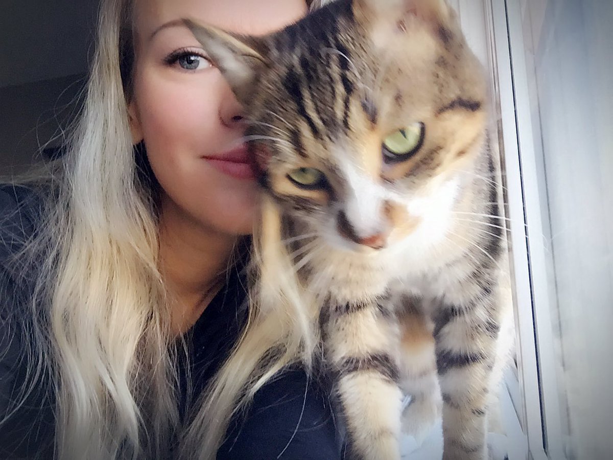 Megegans's tweet photo. We kinda got a good #selfie #CatsOfTwitter #SundaySelfie #Take123 https://t.co/hn8zlsxjgy