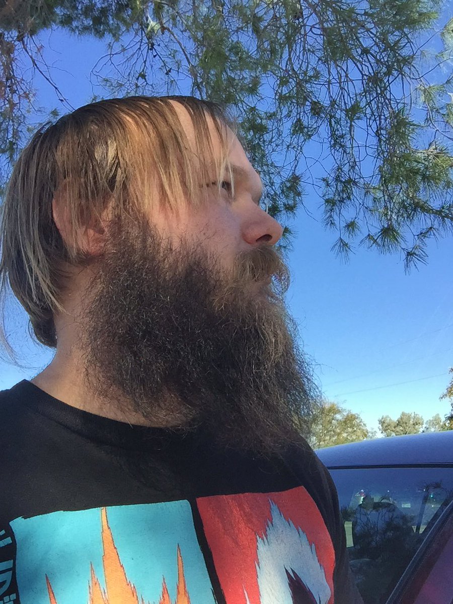 ProBeards's tweet image. It's the Sunday DGAF beard day!